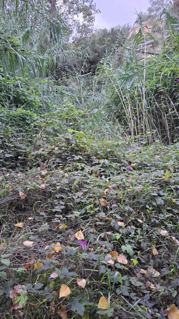 Charco Azul - Casa Rural Casa Toni Alborache