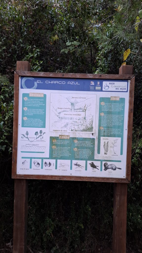 Charco Azul - Casa Rural Casa Toni Alborache