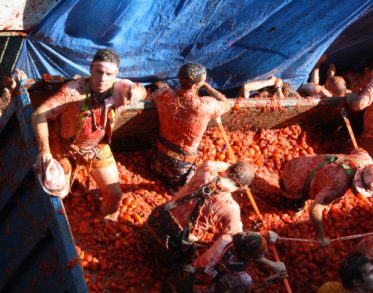 Tomatina de Buñol - Casa Rural Casa Toni Alborache